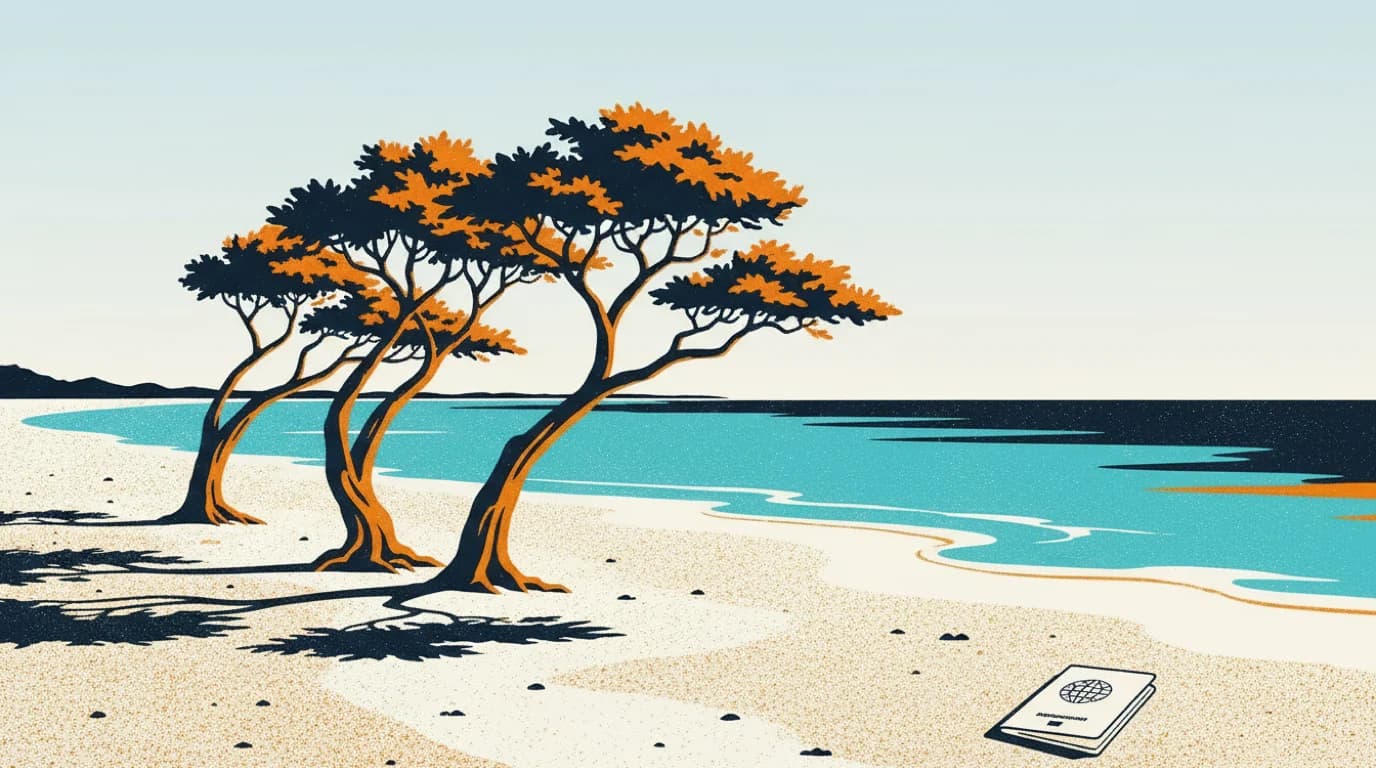 Aruba illüstrasyonu